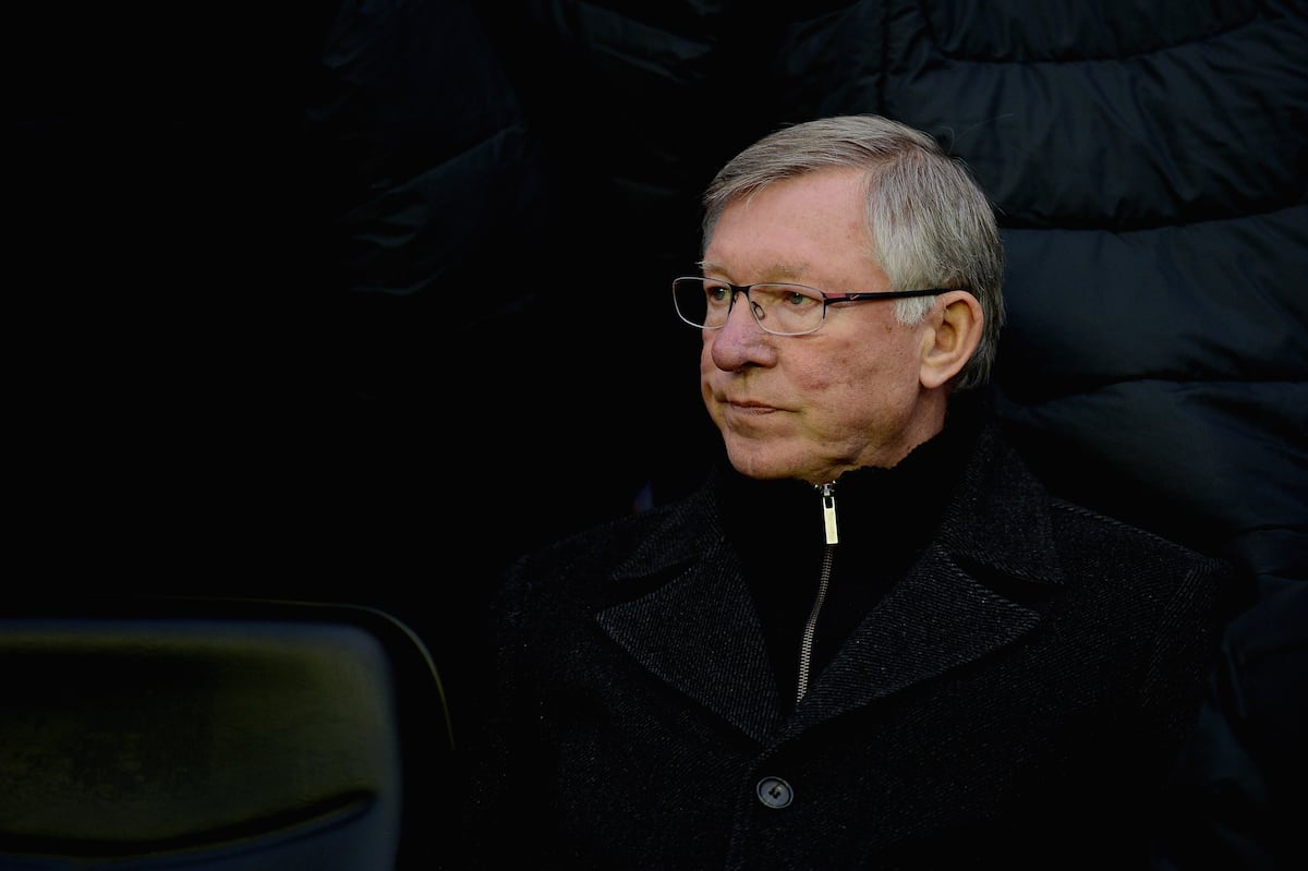 Fußball Transfers Šeško Wechselt Zu Manchester United Experte Packt Aus - 0f0yrr9