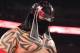 Photo courtesy of WWE.com
