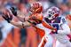 Bengals WR Jordan Shipley should be healthy by the start of training camp