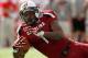 ORLANDO, FL - JANUARY 02: Alshon Jeffery #1 of the South Carolina Gamecocks makes a catch during the Capitol One Bowl against the Nebraska Cornhuskers at Florida Citrus Bowl on January 2, 2012 in Orlando, Florida. (Photo by Mike Ehrmann/Getty Images)