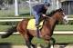 image from kentuckyderby.com