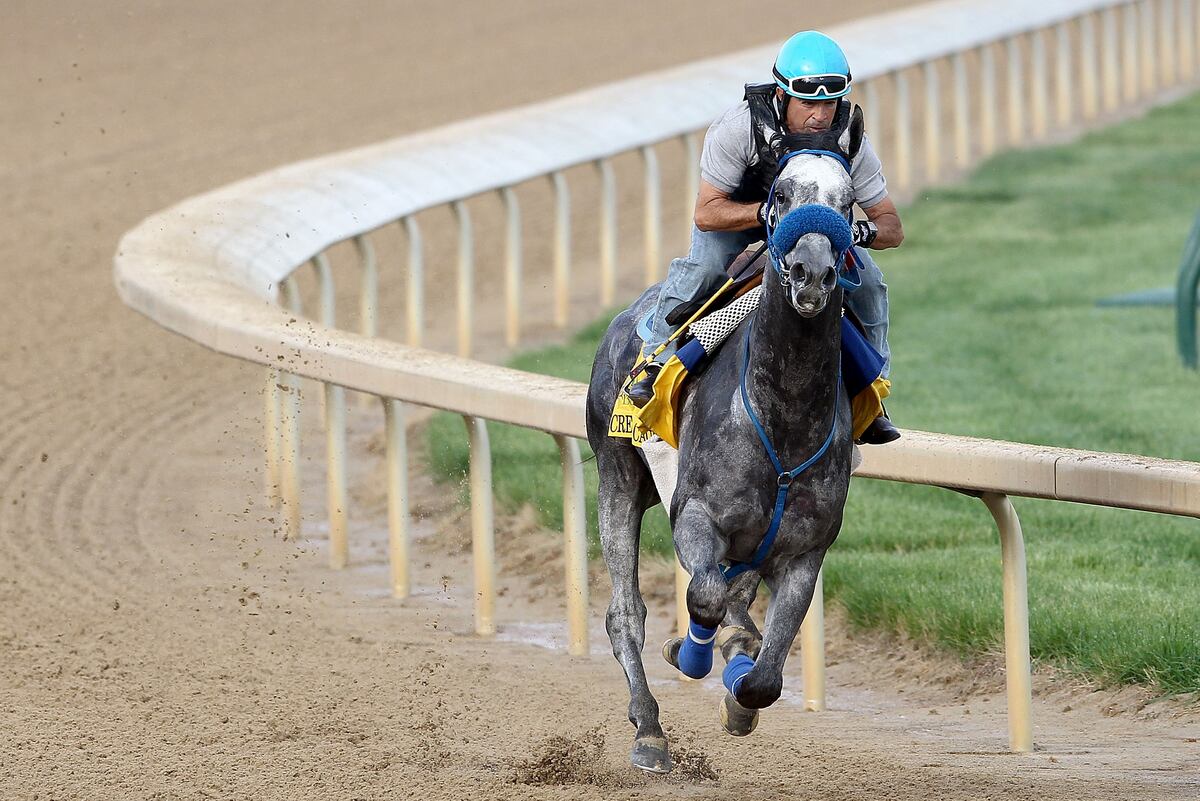 Kentucky Derby Odds 2012 Overrated Horses to Avoid in Run for the