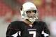Matt Leinart with the Arizona Cardinals