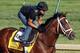 Gemologist seems poised to win the 138th Kentucky Derby