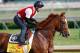 LOUISVILLE, KY - MAY 03: Dullahan trains on the track in preparation for the 138th Kentucky Derby at Churchill Downs on May 3, 2012 in Louisville, Kentucky. (Photo by Rob Carr/Getty Images)