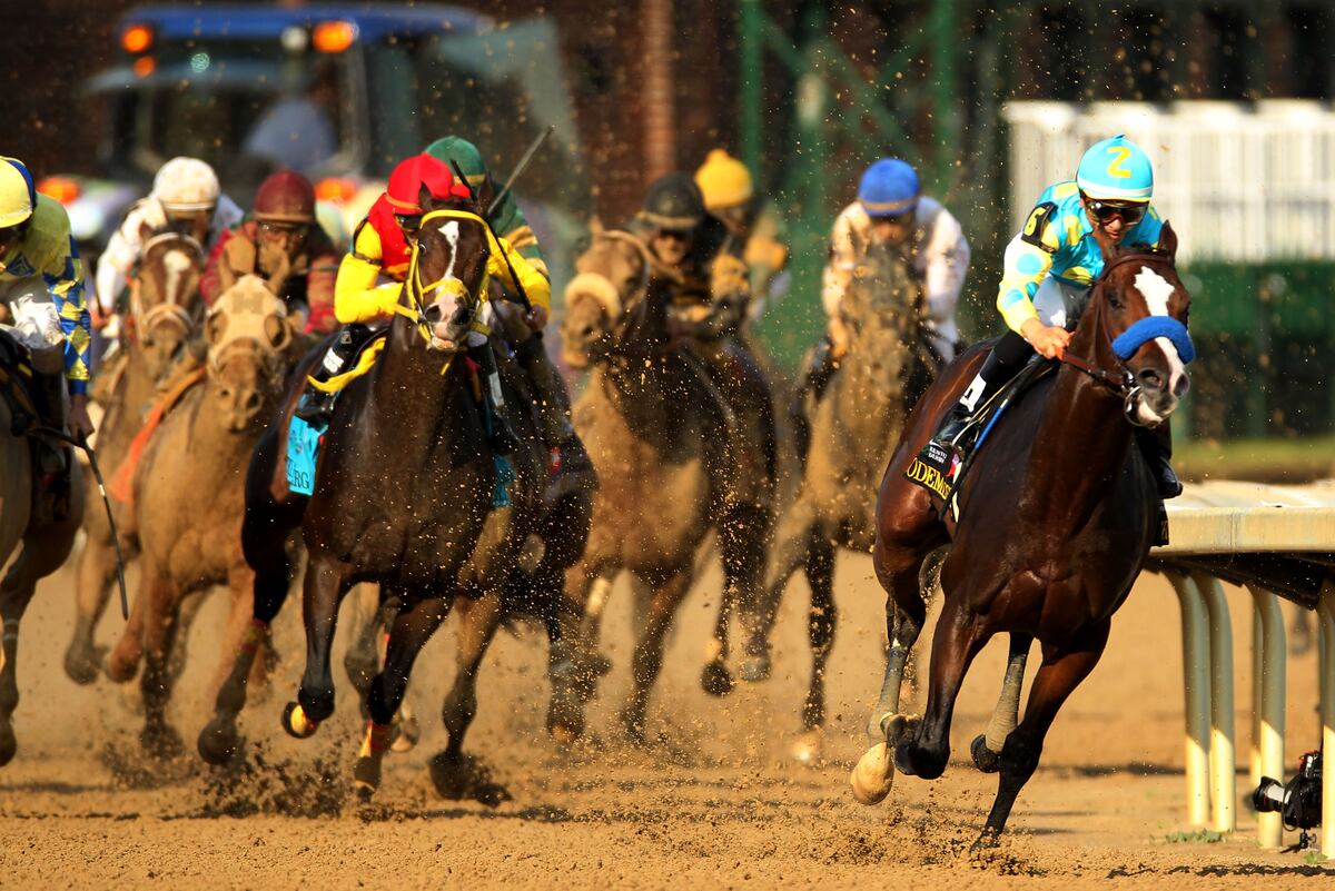 Kentucky Derby Results Horses That Will Enter the Preakness with