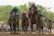 LOUISVILLE, KY - MAY 05: I'll Have Another ridden by Mario Gutierrez leads the pack down the final stretch during the 138th running of the Kentucky Derby ahead of at Churchill Downs on May 5, 2012 in Louisville, Kentucky. (Photo by Matthew Stockman/Getty Images)