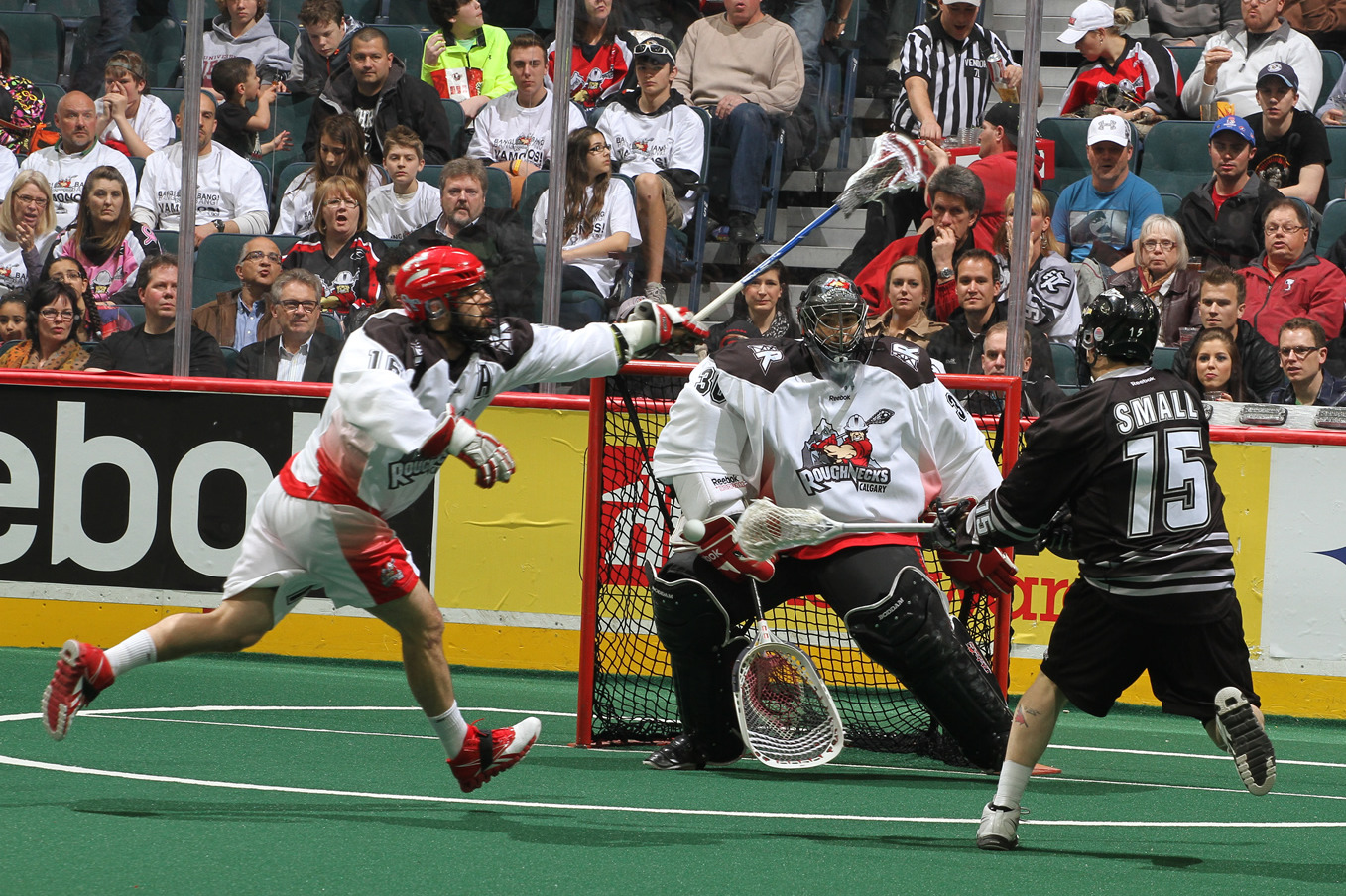 Shorthanded Calgary Roughnecks lose to Seals but earn NLL playoff spot