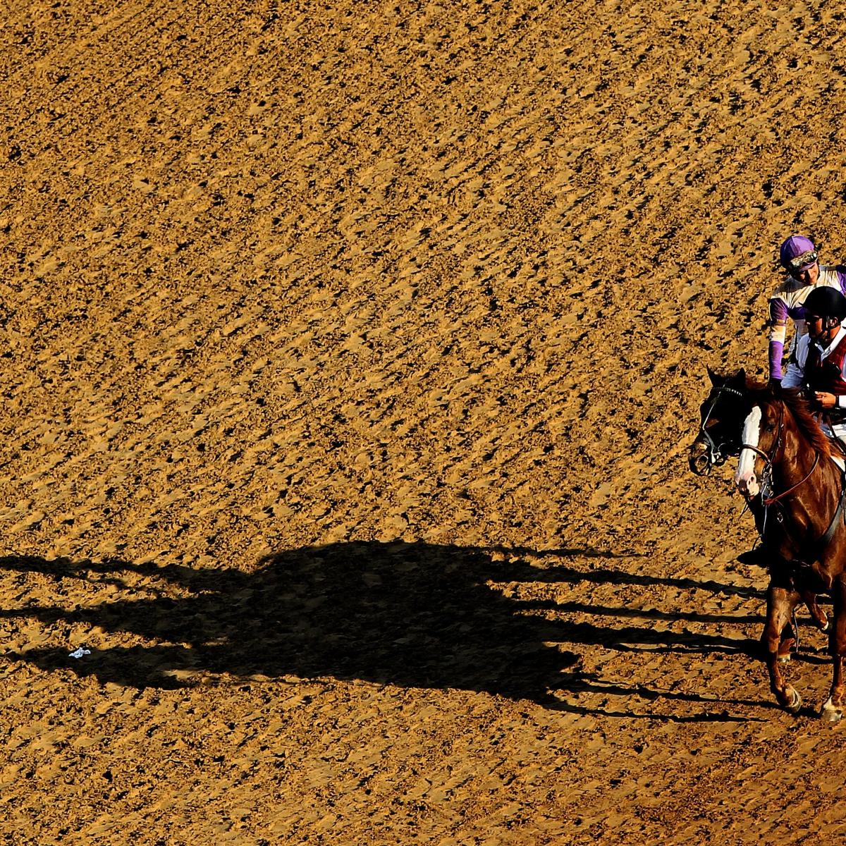 Preakness 2012: Complete Guide to Second Leg of Triple Crown News