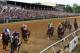 BALTIMORE, MD - MAY 21: The field heads into the first turn during the 136th running of the Preakness Stakes at Pimlico Race Course on May 21, 2011 in Baltimore, Maryland. (Photo by Rob Carr/Getty Images)