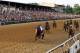 BALTIMORE, MD - MAY 21: Jockey Jesus Castanon guides Shackleford #5 (C) to victory over Animal Kingdom and jocky John Velazquez #11 (L) and Astrology with jockey Mike Smith #1 (R) to win the 136th running of the Preakness Stakes at Pimlico Race Course on May 21, 2011 in Baltimore, Maryland. (Photo by Rob Carr/Getty Images)