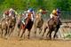 BALTIMORE, MD - MAY 21: Jockey Jesus Castanon guides Shackleford #5 (C) out of the fourth turn to win the 136th running of the Preakness Stakes at Pimlico Race Course on May 21, 2011 in Baltimore, Maryland. (Photo by Rob Carr/Getty Images)