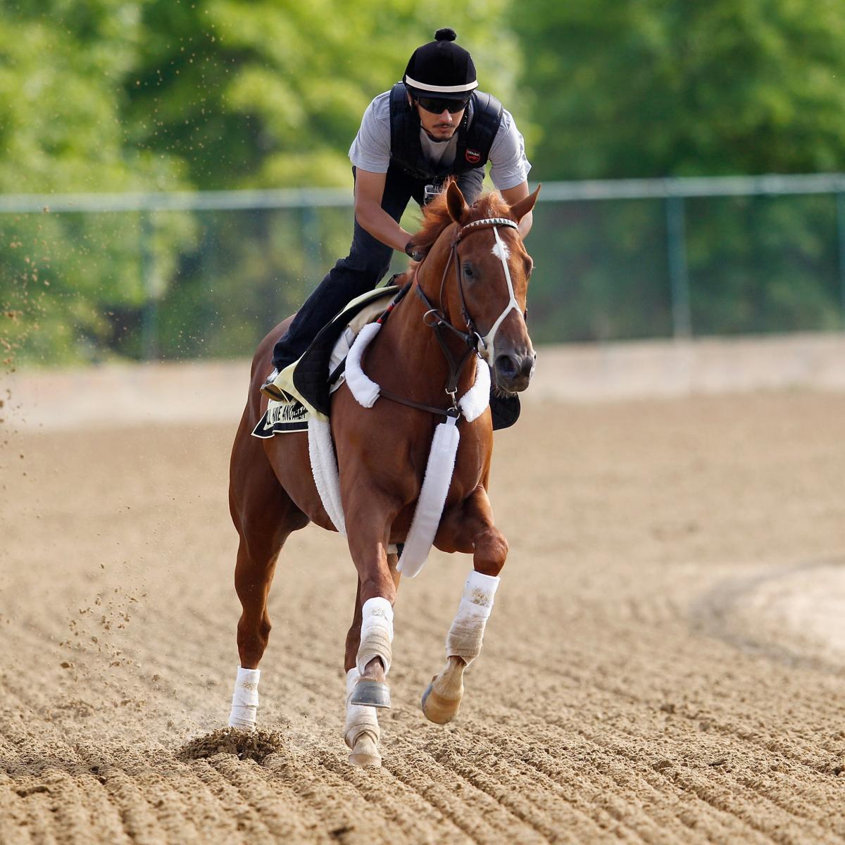 Preakness 2012: Why I'll Have Another Is Still Favorite over ...
