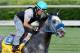 LOUISVILLE, KY - APRIL 30: Creative Cause is riden on the track during the morning excercise session in preparation for the 138th Kentucky Derby at Churchill Downs on April 30, 2012 in Louisville, Kentucky. (Photo by Matthew Stockman/Getty Images)