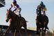 I'll Have Another barely edges out Bodemeister at the finish line.