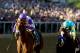 BALTIMORE, MD - MAY 19: I'll Have Another, ridden by Mario Gutierrez, crosses the finish line ahead of Boedmeister, ridden by Mike Smith, to win the 137th Preakness Stakes at Pimlico Race Course on May 19, 2012 in Baltimore, Maryland. (Photo by Matthew Stockman/Getty Images)