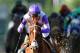 BALTIMORE, MD - MAY 19: I'll Have Another ridden by Mario Gutierrez wins the 137th running of the Preakness Stakes at Pimlico Race Course on May 19, 2012 in Baltimore, Maryland. (Photo by Patrick Smith/Getty Images)