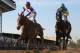 BALTIMORE, MD - MAY 19: I'll Have Another ridden by Mario Gutierrez comes ahead at the finish to beat Bodemeister ridden by Mike Smith to win the 137th Preakness Stakes at Pimlico Race Course on May 19, 2012 in Baltimore, Maryland. (Photo by Rob Carr/Getty Images)