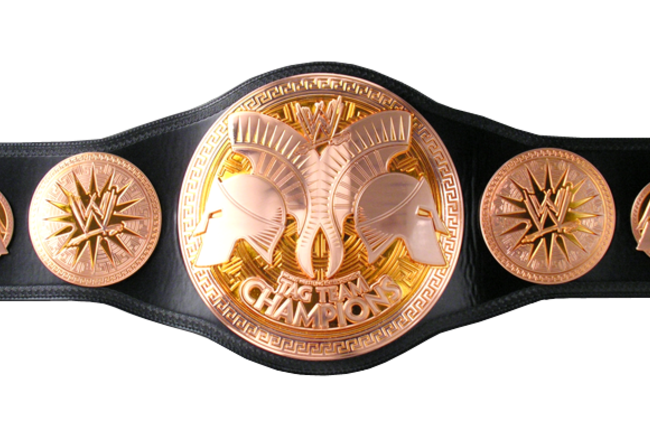Wrestling Gold: The History of the WWE World Tag-Team Championship ...