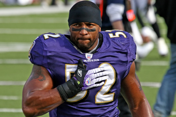 Ray Lewis  Ray lewis, Baltimore ravens football, Football conference