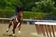 ELMONT, NY - JUNE 04: Triple Crown hopefull I'll Have Another gallops with exercise rider Jonny Garcia up during a morning workout at Belmont Park on June 4, 2012 in Elmont, New York. (Photo by Al Bello/Getty Images)