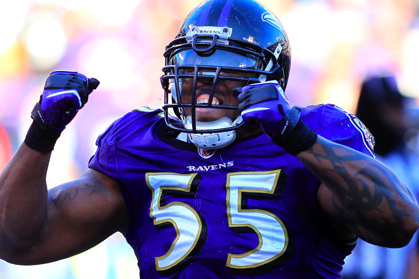 Report: Terrell Suggs Could Miss 2012 Season With Achilles Injury - Behind  the Steel Curtain