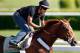 ELMONT, NY - JUNE 07: Exercise rider Jonny Garcia takes Triple Crown hopefull I'll Have Another over the track in preparation for the 144th Belmont Stakes at Belmont Park on June 7, 2012 in Elmont, New York. (Photo by Rob Carr/Getty Images)