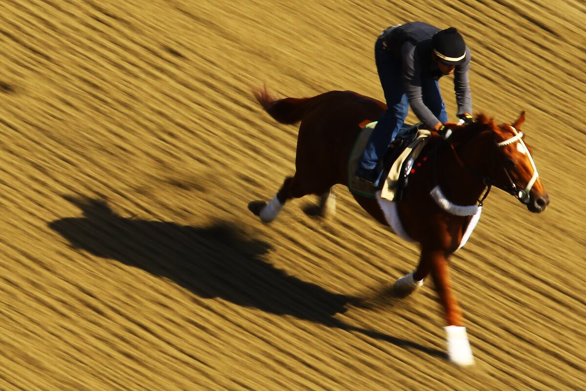 I'll Have Another Scratched: How Horse Racing Will Be Affected by Sad ...