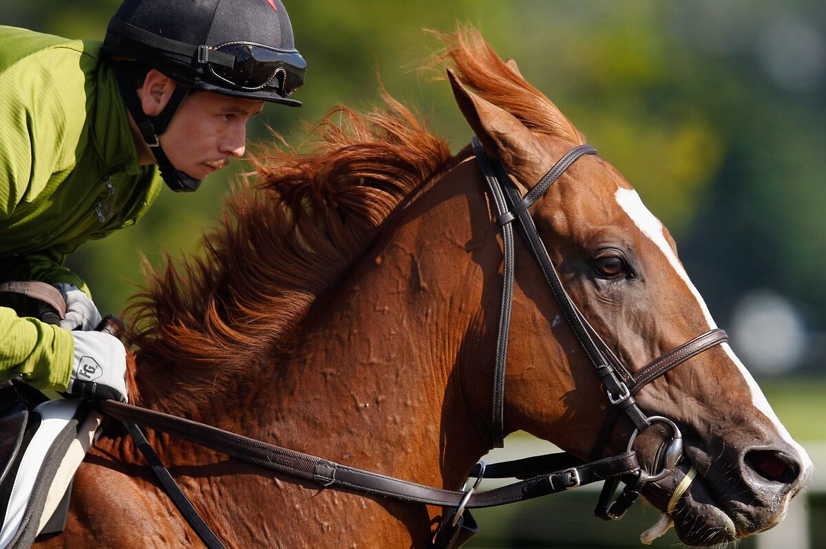 Belmont Stakes 2012 Odds: Contenders with Enticing Odds to Avoid | News