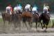 ELMONT, NY - JUNE 11: The field heads down the front stretch during the 143rd running of the Belmont Stakes at Belmont Park on June 11, 2011 in Elmont, New York. (Photo by Rob Carr/Getty Images)