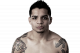 ufc.com