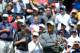 All eyes are on Tiger