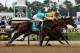 ELMONT, NY - JUNE 09: Union Rags ridden by John Velazquez narrowly beats Paynter ridden by Mike Smith during the 144th running of the Belmont Stakes at Belmont Park on June 9, 2012 in Elmont, New York. (Photo by Alex Trautwig/Getty Images)