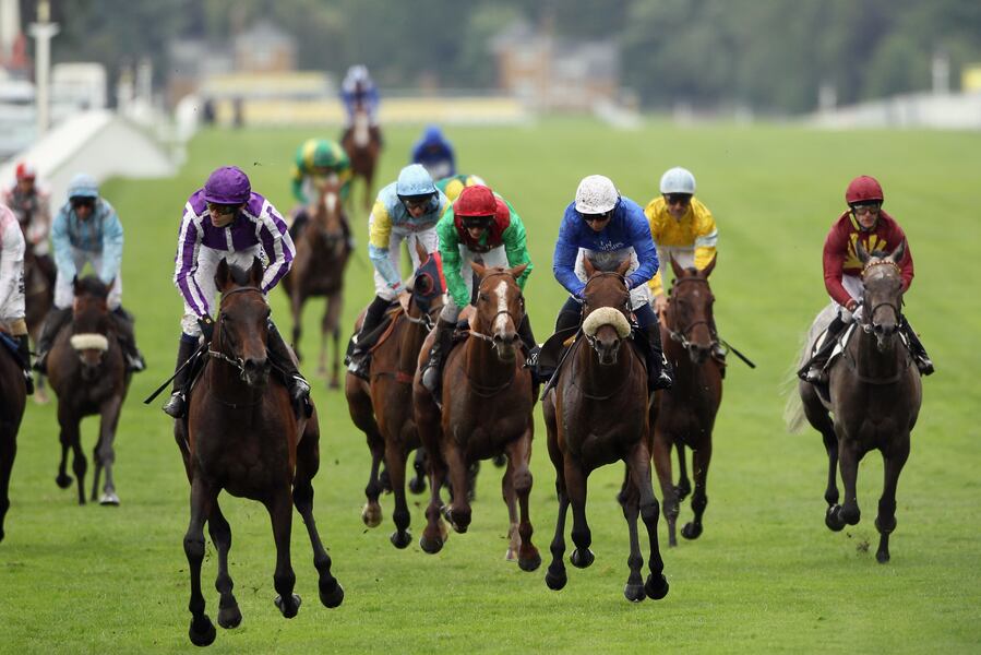 Ascot Gold Cup 2012 Results Winner Top Finishers And Analysis Bleacher Report Latest News Videos And Highlights