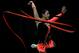 HARTFORD, CT - AUGUST 14: Julie Zetlin competes in the Rhythmic All-Around competition on day four of the 2010 Visa Gymnastics Championships at Chase Arena on August 14, 2010 in Hartford, Connecticut. (Photo by Chris McGrath/Getty Images)