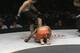 Photo courtesy MMA-Japan.com