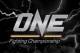 fightsportasia.com