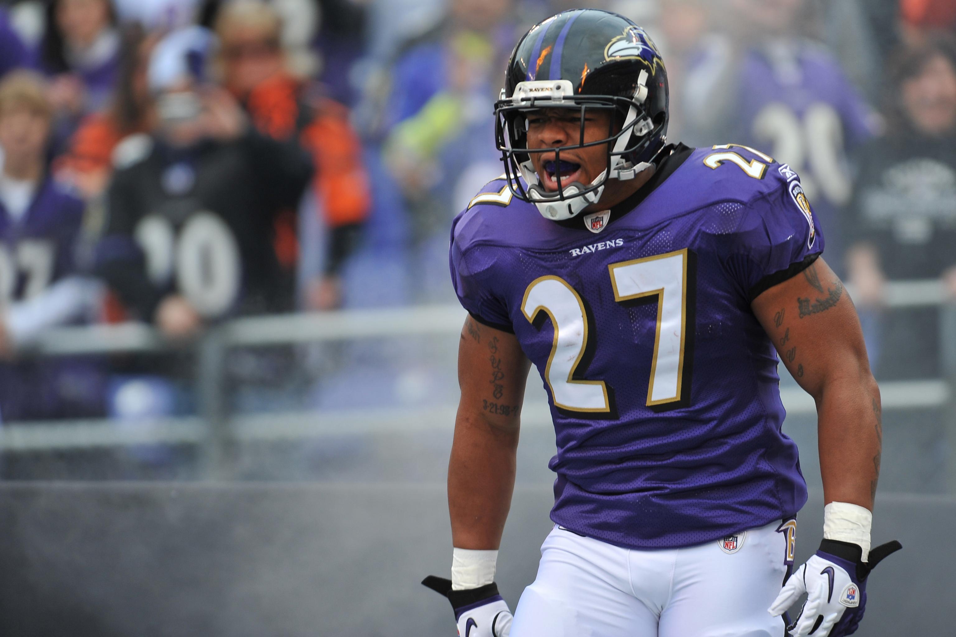 A Baltimore Ravens fan wears a Ray Rice jersey as the Ravens play the  Pittsburgh Steelers at M&T Bank Stadium in Baltimore, Maryland on September  11, 2014. UPI/Kevin Dietsch Stock Photo - Alamy