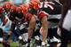 CHARLOTTE, NC - SEPTEMBER 26: The offensive line of the Cincinnati Bengals against the Carolina Panthers during their game at Bank of America Stadium on September 26, 2010 in Charlotte, North Carolina. (Photo by Streeter Lecka/Getty Images)
