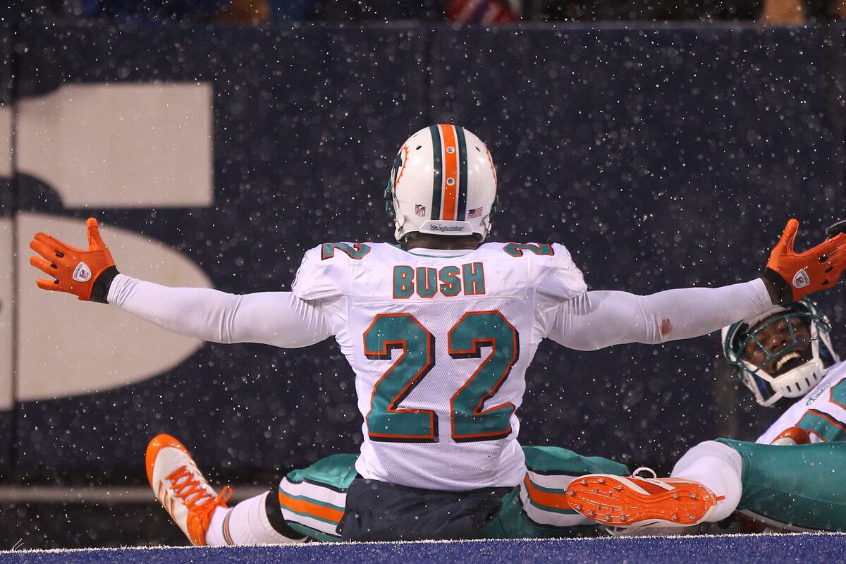 Miami Dolphins Training Camp Breaking Down the Fins' Running Backs