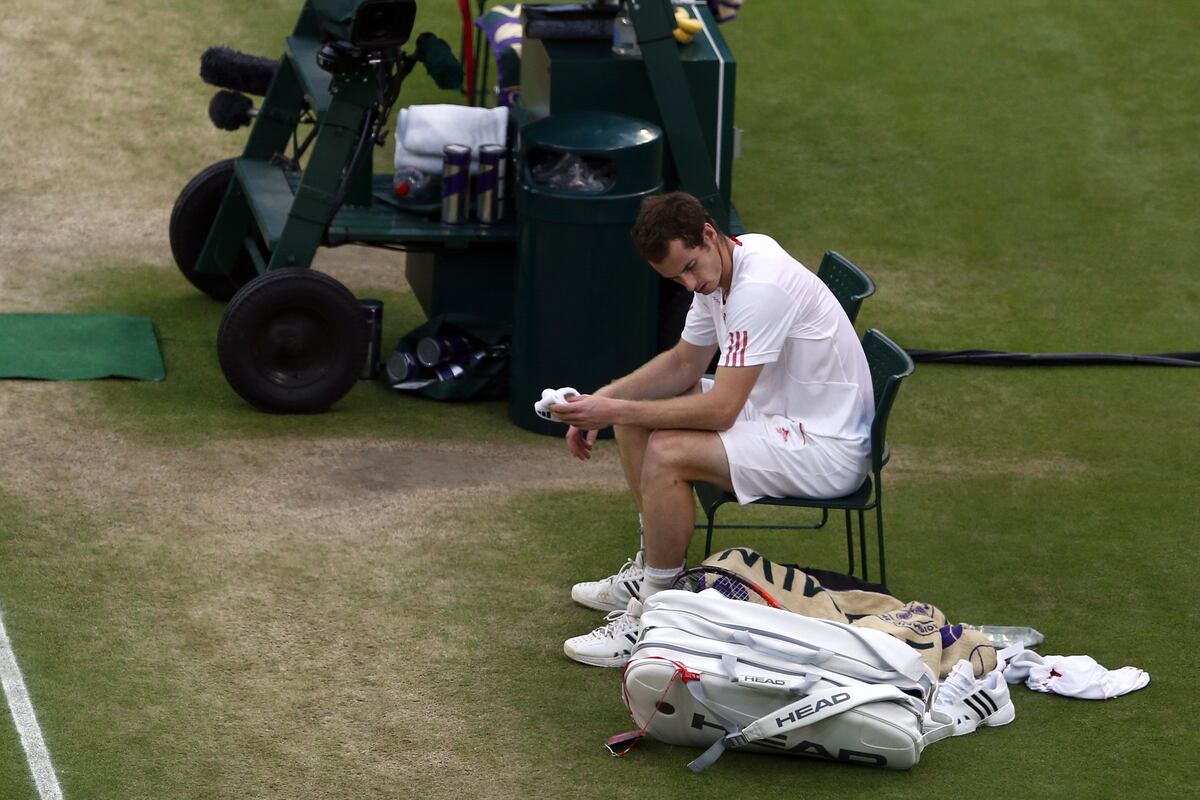 Wimbledon 2012 Results How Andy Murray Will Build Off Wimbledon Final