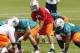 DAVIE, FL - MAY 4: Ryan Tannehill #17 takes a snap from Terrence Brown #60 of the Miami Dolphins during the rookie minicamp on May 4, 2012 at the Miami Dolphins training facility in Davie, Florida. (Photo by Joel Auerbach/Getty Images)