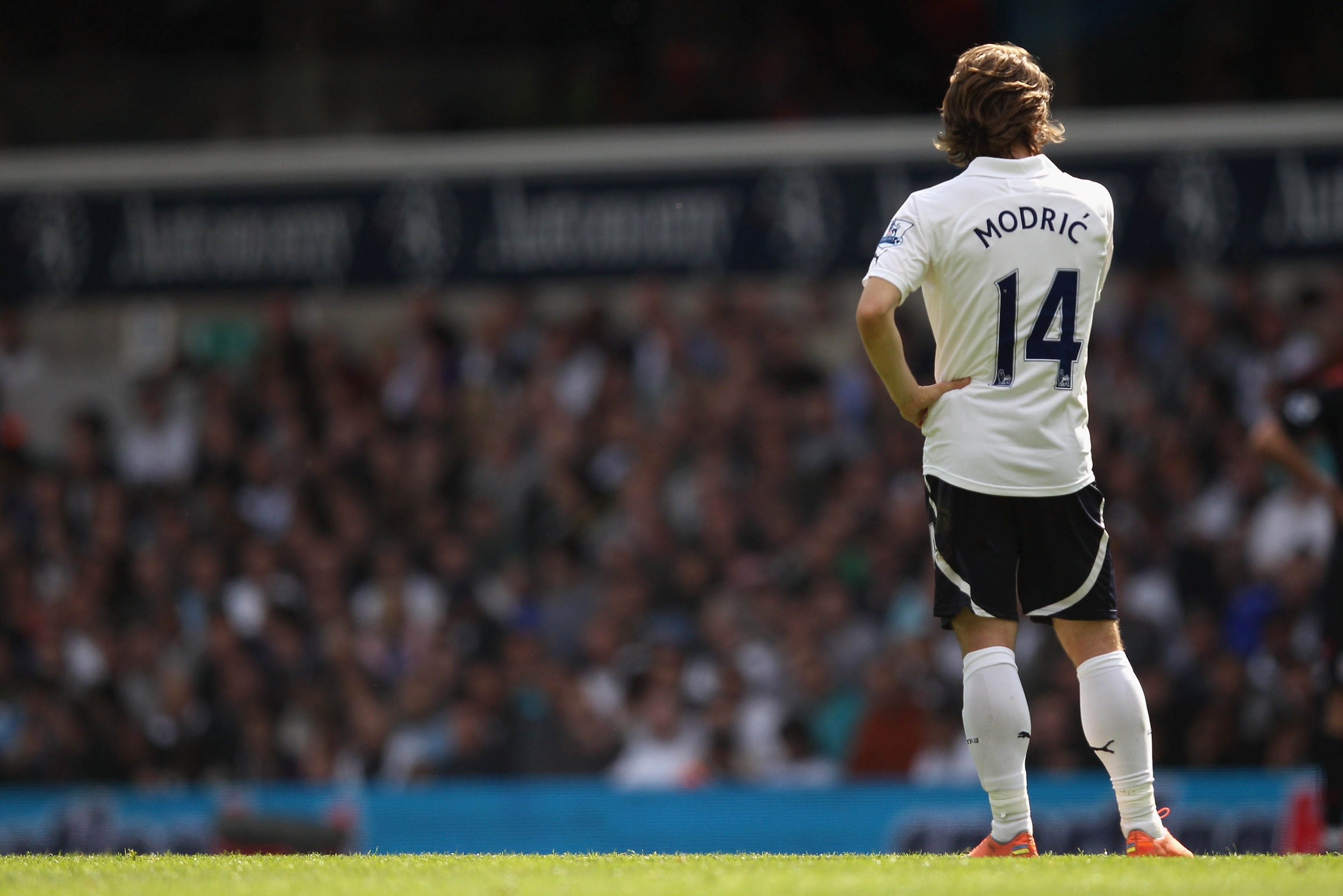 wallpapers Luka Modrić Tottenham luka modric transfer are tottenham