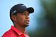 Tiger Woods has won seven times at Firestone Country Club. Can he make it eight this weekend?