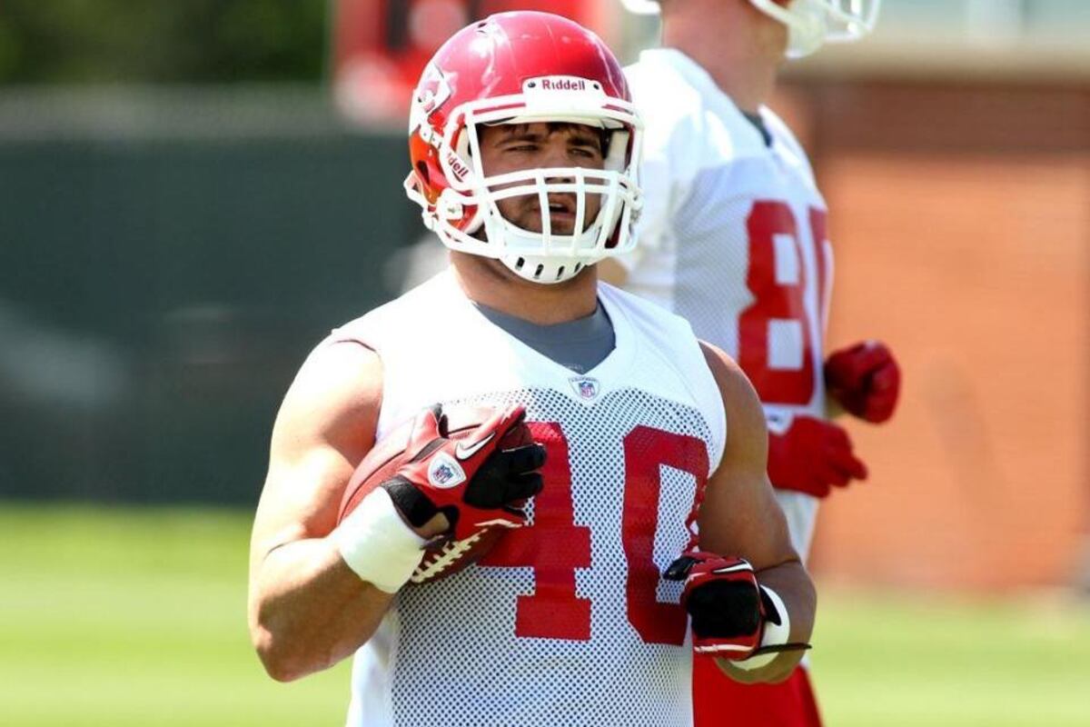 5 Reasons to Draft Peyton Hillis in Your Fantasy Football League News