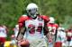 Ryan Williams should finally see action Friday againt Oakland