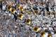 STATE COLLEGE, PA - OCTOBER 8: The Penn State Nittany Lion band and students cheer against the Iowa Hawkeyes during the game on October 8, 2011 at Beaver Stadium in State College, Pennsylvania. The Lions defeated the Hawkeyes 13-3. (Photo by Justin K. Aller/Getty Images)