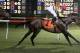 Silver Max winning the Virginia Derby on his last race. (photo via dailypress.com)