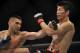 Jun 22, 2012; Atlantic City, NJ, USA; Ricardo Lamas (left) fights Hatsu Hioki in a featherweight bout during UFC on FX at Revel Resort and Casino. Ricardo Lamas won the fight by unanimous decision in the third round. Mandatory Credit: Joe Camporeale-US PRESSWIRE