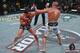 Bellator Photo Gallery